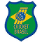 Cricket Brazil