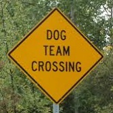 Dog Team Crossing