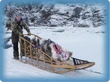 Pray for our Iditarod racers