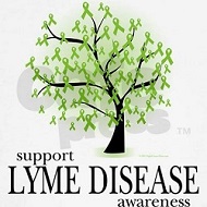 Support Lyme Disease Awareness