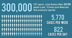 300,000 cases of Lyme Disease every year