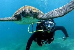 Obey the rules of safe scuba diving