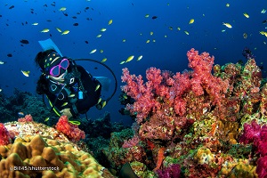 Protect our scuba divers