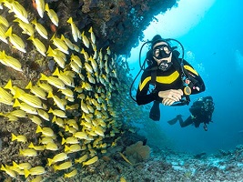 Keep our scuba divers safe